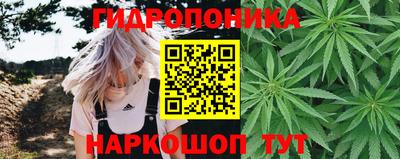 каннабис Донской