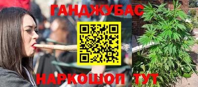 стаф Донецк