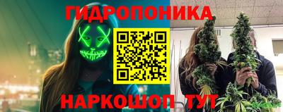 стаф Донецк