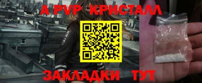 стаф Донецк